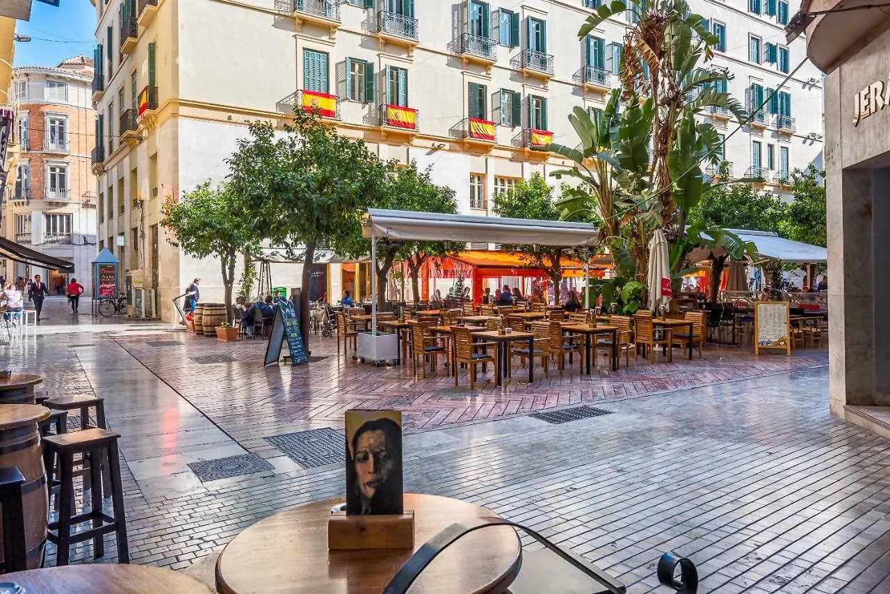 Iloftmalaga Atico Plaza De Las Flores